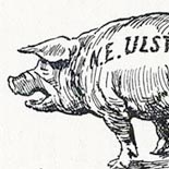Lloyd George proposes a County Option Concession